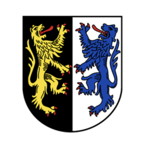 Unfallautoankauf - wir kaufen jedes Unfallauto